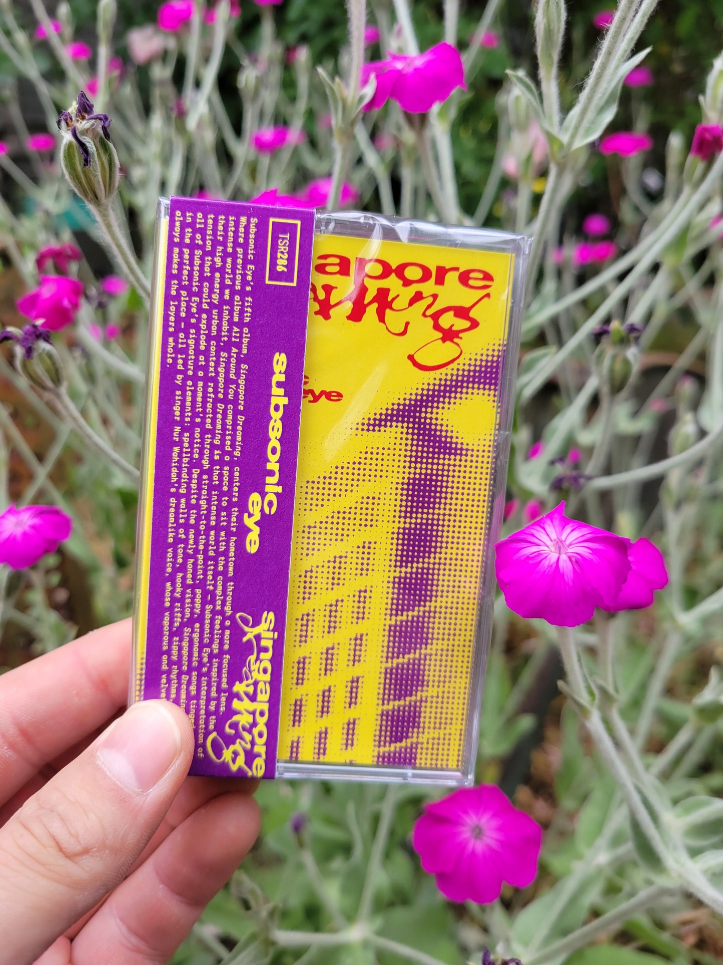 Subsonic Eye - Singapore Dreaming CS