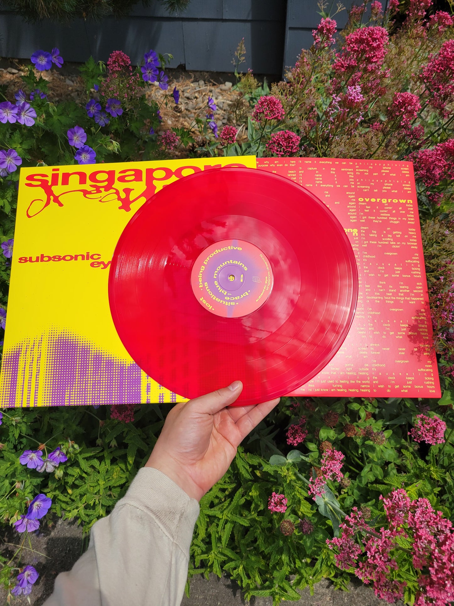 Subsonic Eye - Singapore Dreaming LP