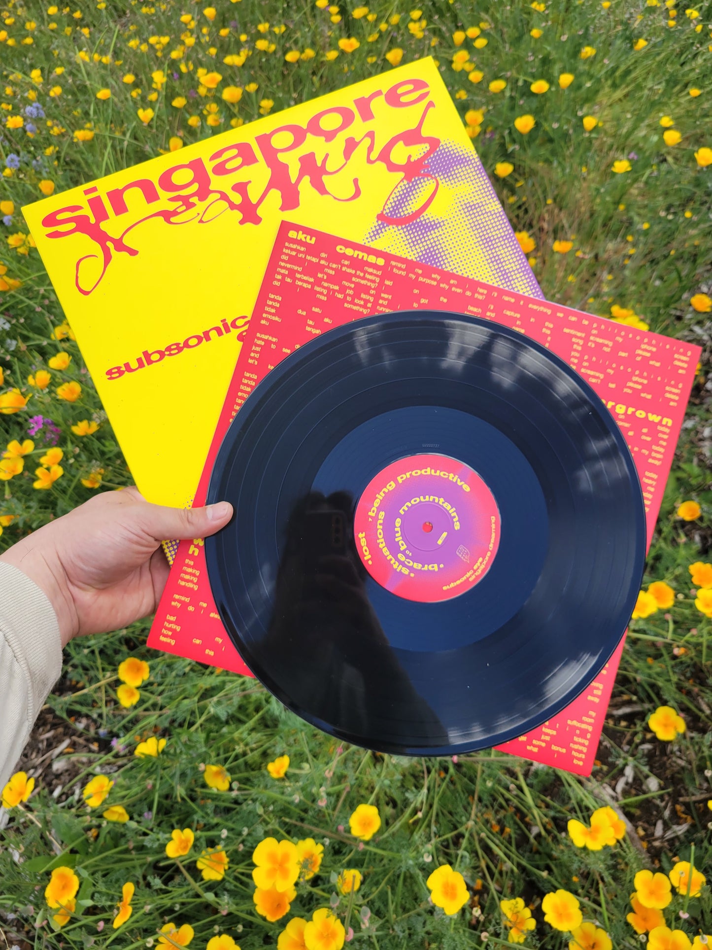 Subsonic Eye - Singapore Dreaming LP