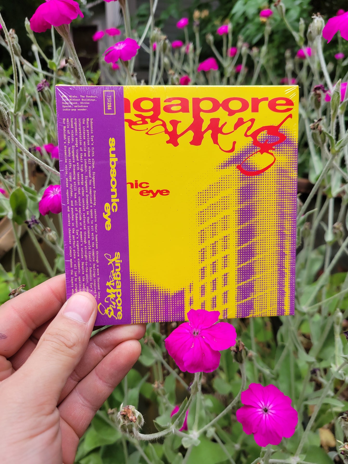 Subsonic Eye - Singapore Dreaming CD