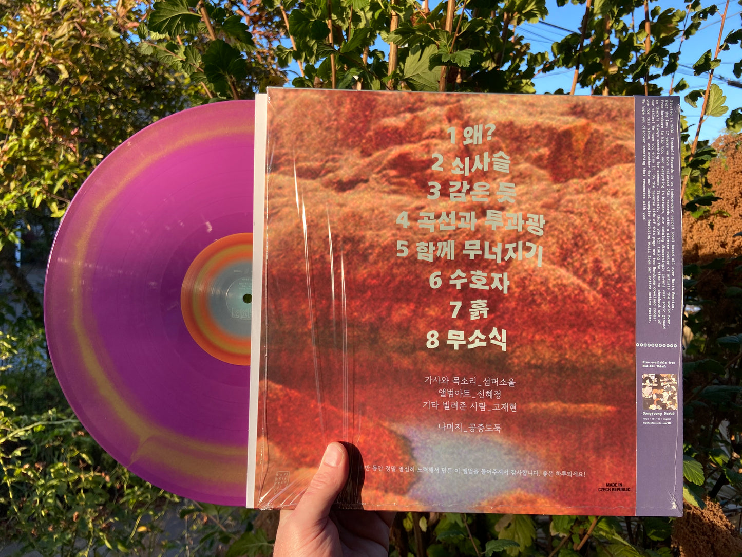 Mid-Air Thief - Crumbling LP