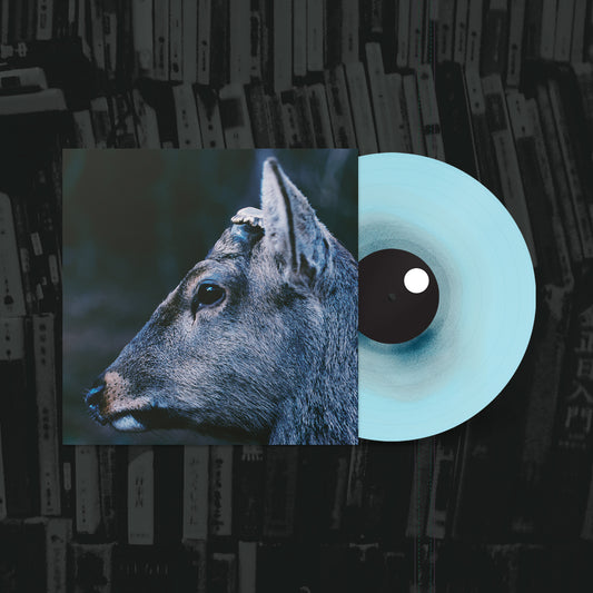 toe - the book about my idle plot on a vague anxiety LP **PRE-ORDER**